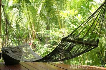 Coconut Grove 15